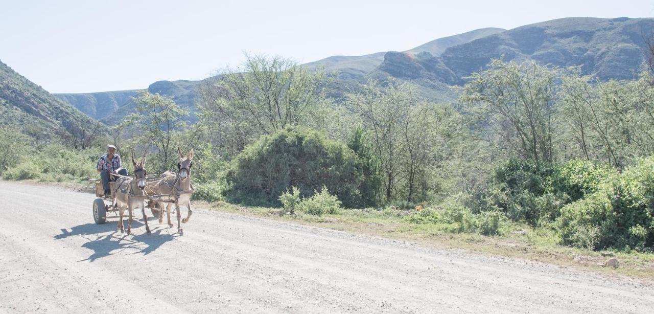 Sederkloof Lodge Studtis Экстерьер фото